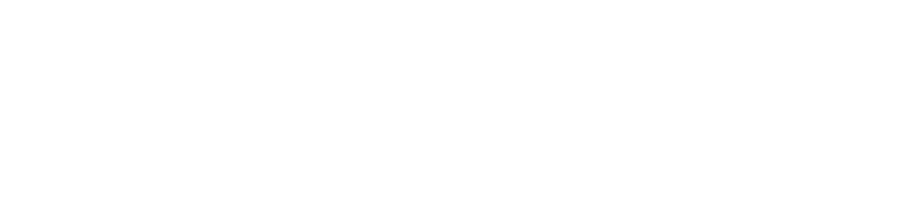 ALLIANCE JIU JITSU SALT LAKE CITY